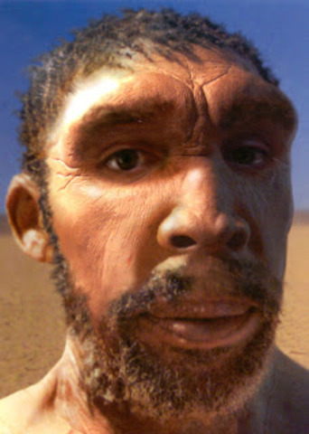 Homo rodhesiensis (500.000 años)