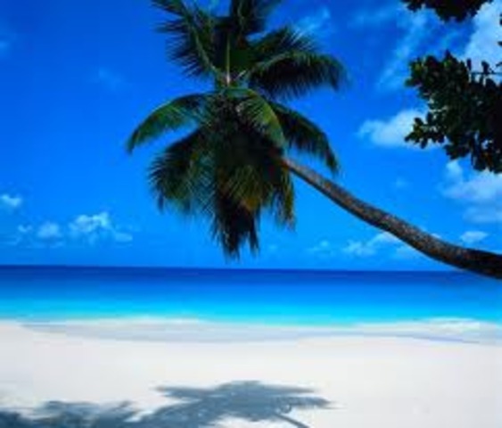 Pi survives to see land once again.