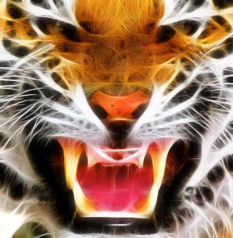 Pi is shown how dangerous tigers are