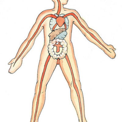 Timeline: Medicine Through Time- By Leigh Dennis