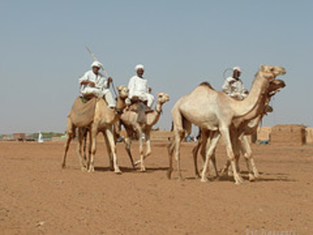 Santiago meets the caravan