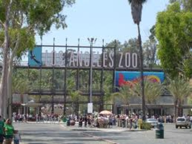 Fly to LA & visit the LA Zoo
