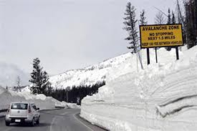 Forest fire kills 14 & injures 50 in Cody Wyoming