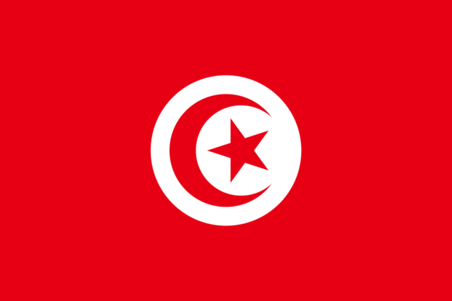 mohamad bouazizis protest