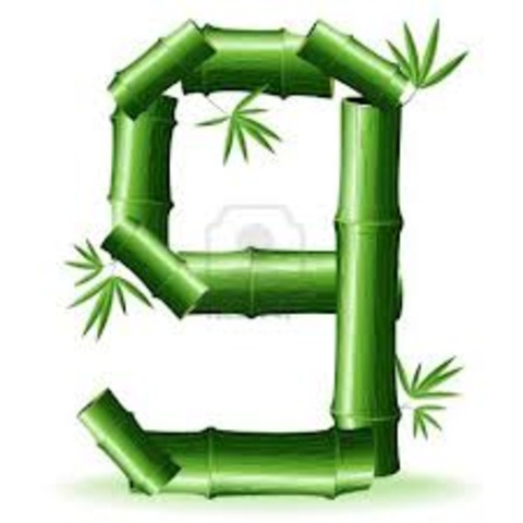 The austere academy/ Lemony Snicket