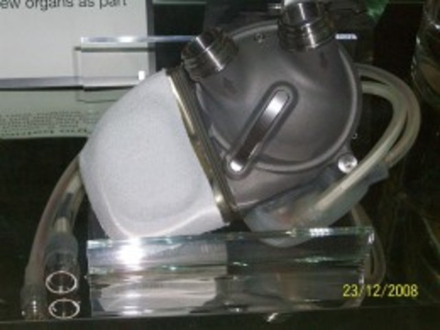 Artificial Heart