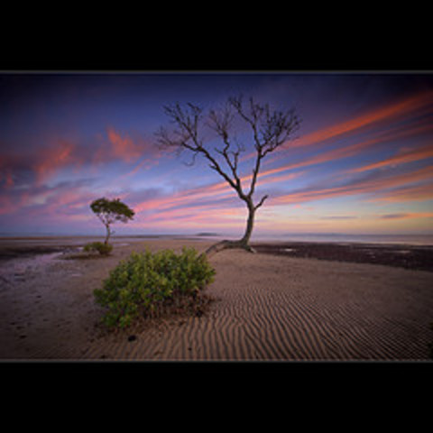 Santiago Tries to become the wind