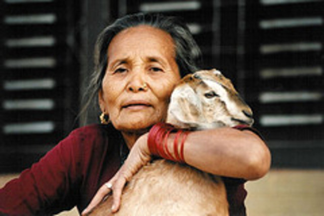 at the western palace