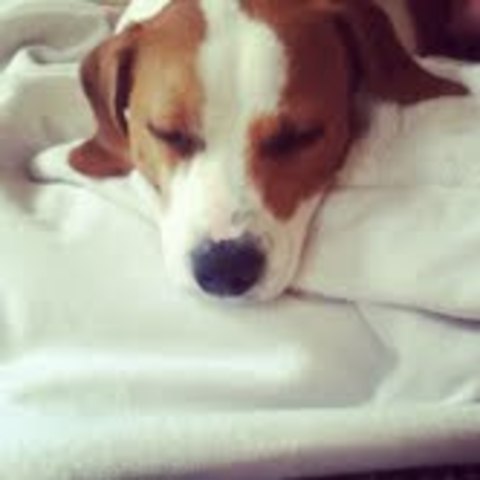 i got my baby Scooter