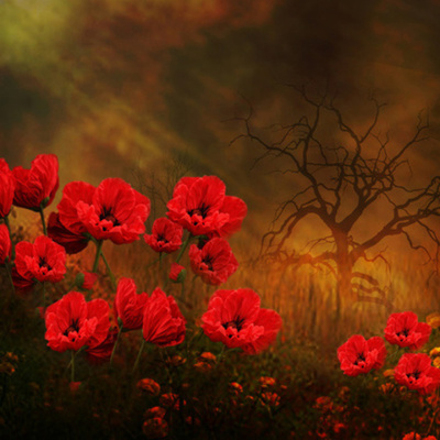 Timeline: Causes of US Entry into WWI