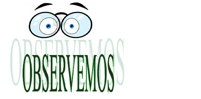 OBSERVEMOS DISTINTAS FORMAS DE ORGANIZACION DE UN TEXTO EXPOSITIVO.