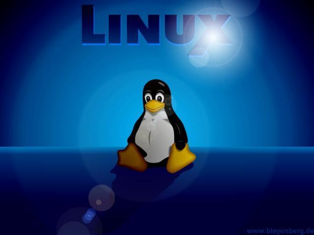 Nace LINUX