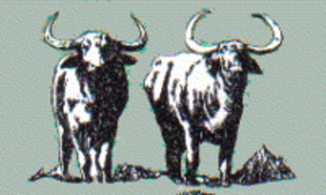 Domestication of Buffalo