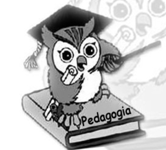 Criação das Diretirzes Curriculares Nacionais no Curso de Pedagogia