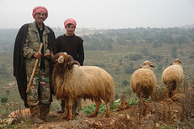 Santiago turns into a shepherd