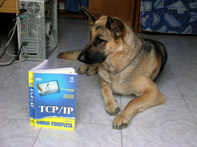 TCP/IP