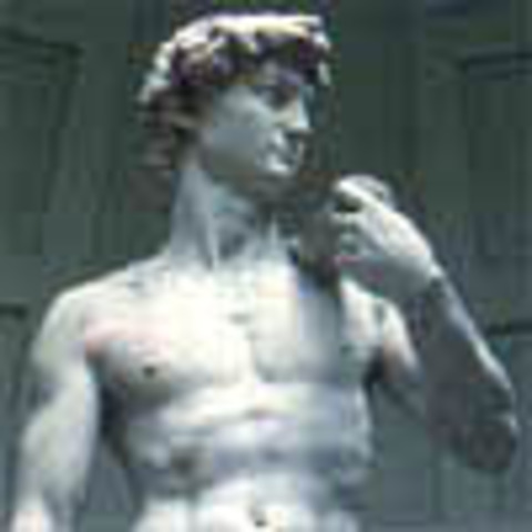 Michelangelo begins his sculpture of David