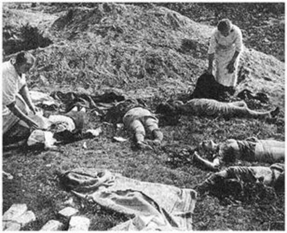 Germanys invasion of Poland