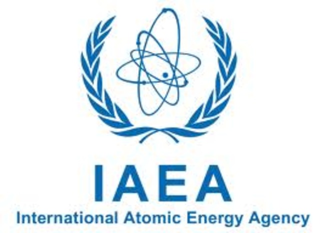 International Atomic Energy Agencies (IAEA)