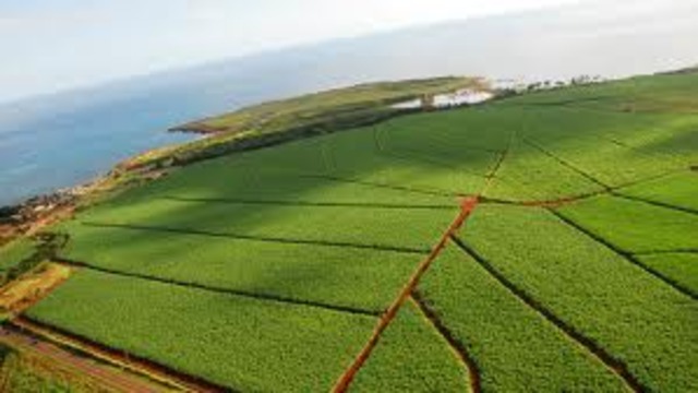 Le gouvernement d'Alberta - Lois pour les Métis