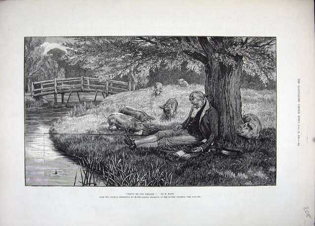 Müller wacht am den Isar auf.