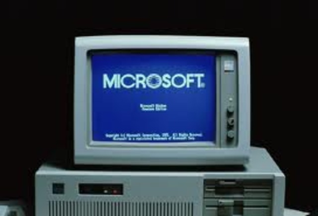 Microsoft Windows Computer
