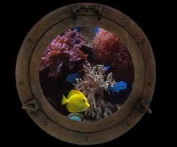 Looking through Portholes