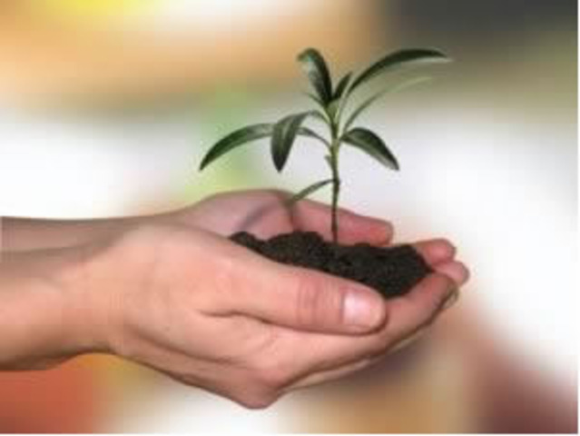 Semillero de Investigacion: Salomon