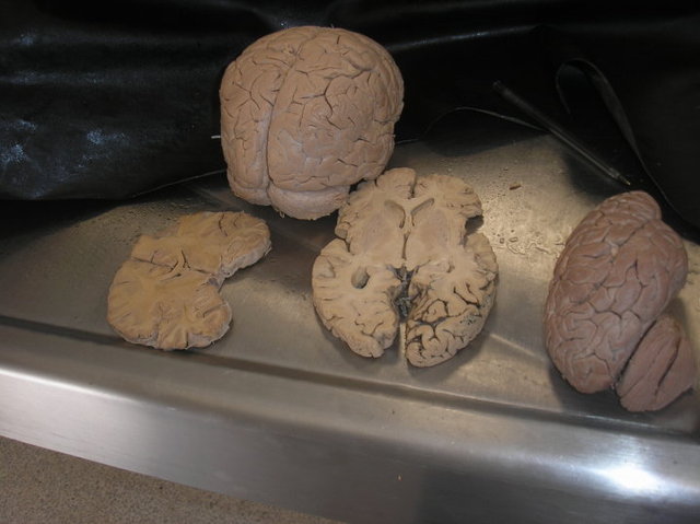 Ampliando conocimiento!