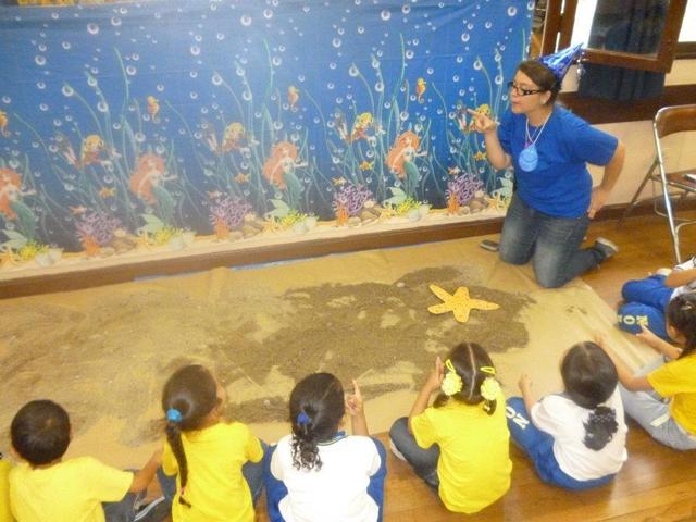 Metas en Practica pedagógica