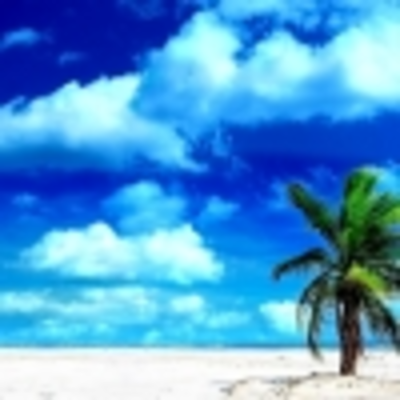 Timeline: Trips to the Beach