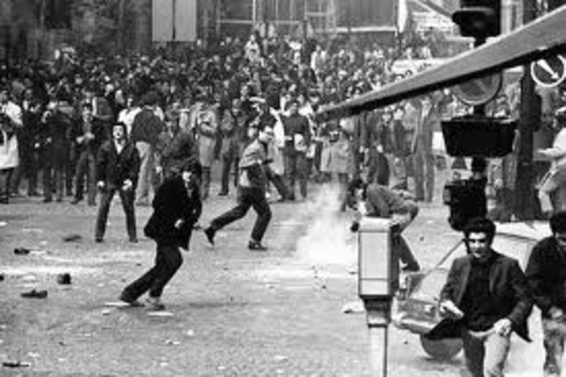 Dorrego y Polo - DI-DTPO