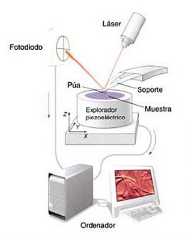 Microscopio de fuerza atomica