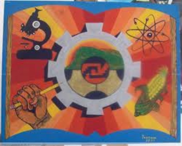 PROPOSITOS INICIALES