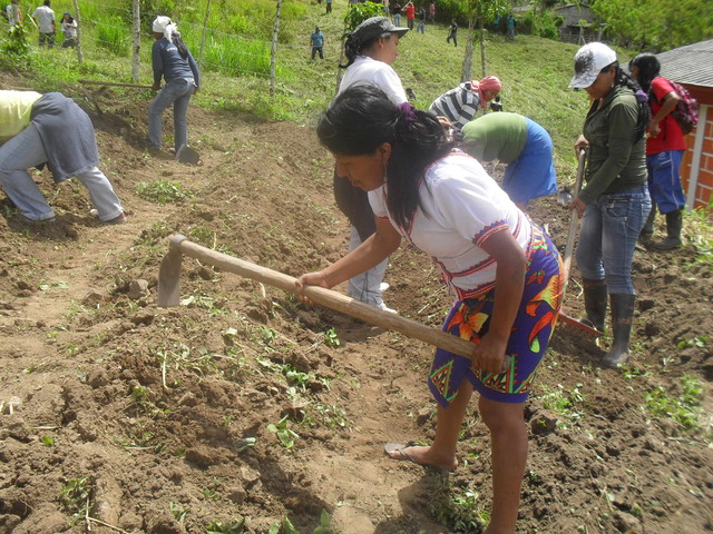 preparacion de terreno
