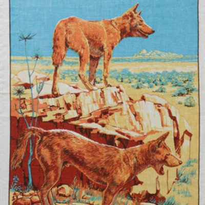 Timeline: A Dingo Has Got My Baby