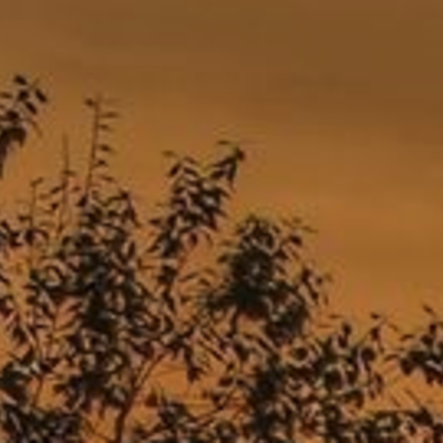 Timeline: mi linea de prueba