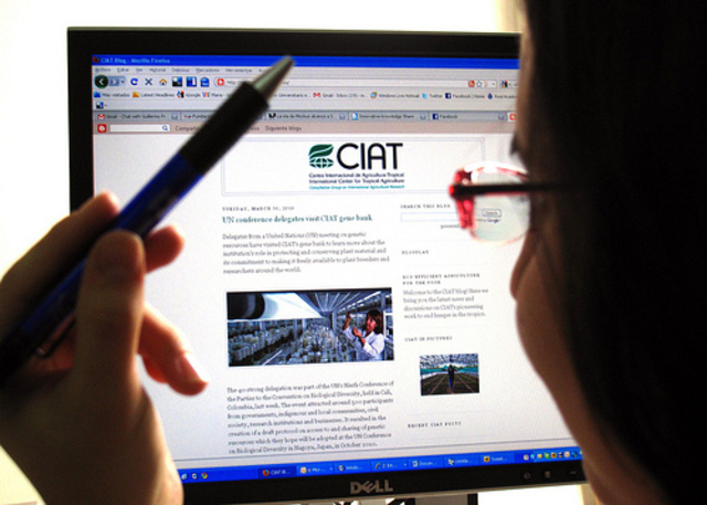 Nace el blog del CIAT