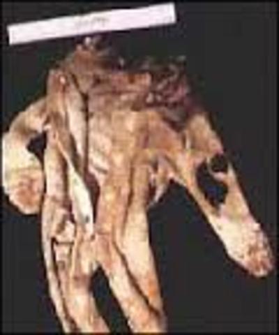 Azarias missing items are found except for the jacket