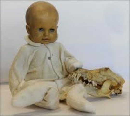 Evidence is presented