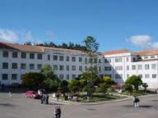 RECOGER LOS ARTICULOS