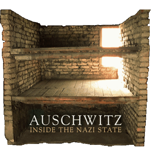 Liberation of Auschwitz