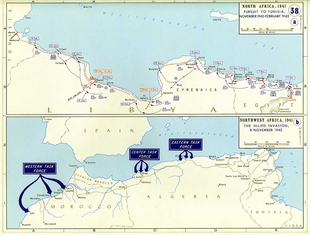 Allied Invasion of Africa (Continued...)