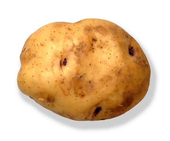 Intro of the Potato in Europe