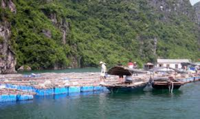 Farming improved living conditions