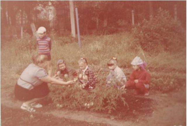 Воспитание любви к природе