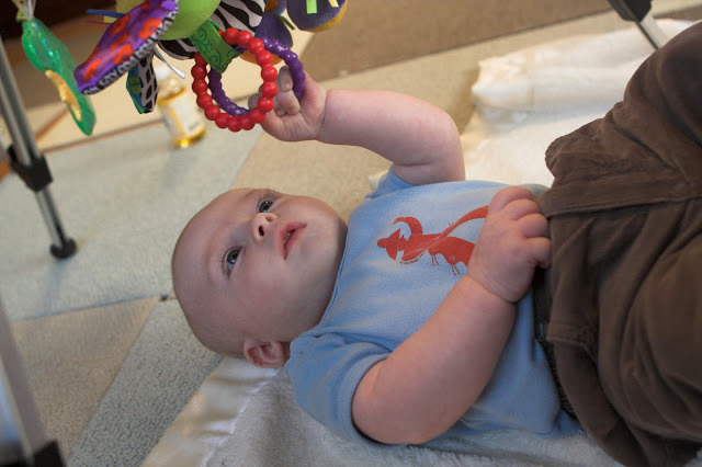 Reaches out and grabs toys