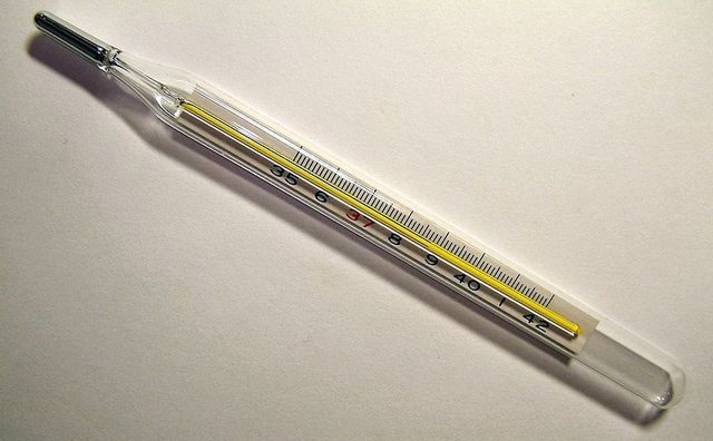 First Mercury Thermometer