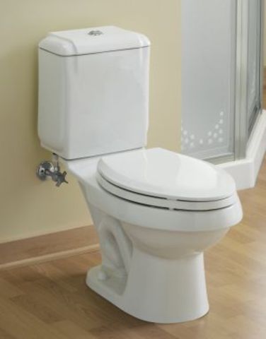 Flush Toilet was invented