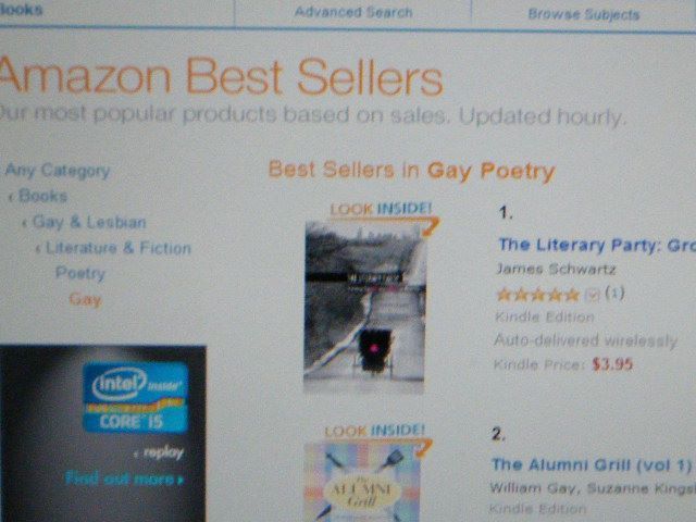 The Literary Party #1